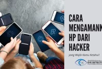 Mempertimbangkan Keamanan HP: Pilihannya Apa?